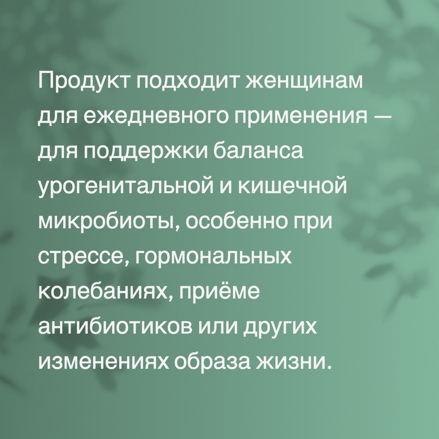 Lady